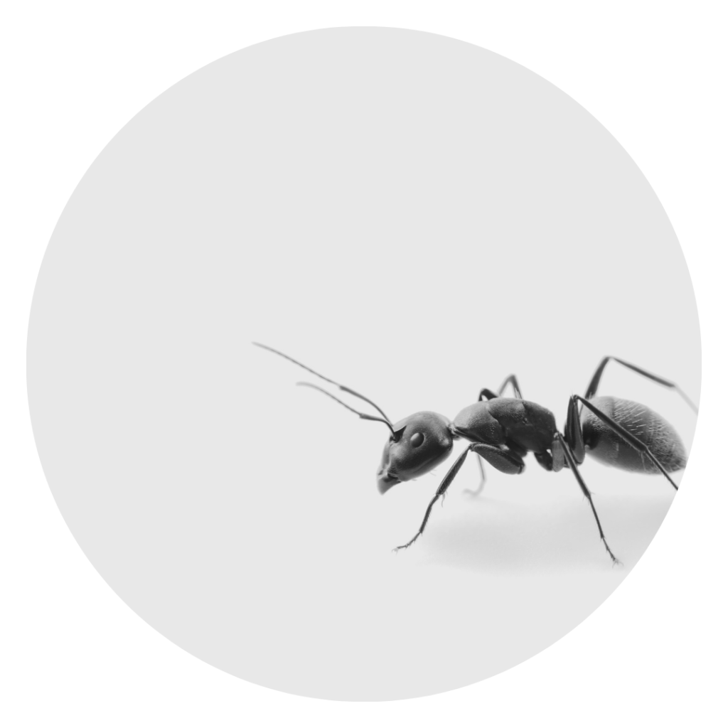 And Eventually We&nbsp;Build